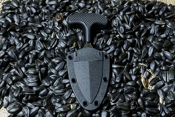 Black neck knife in bin of sunflower seeds.