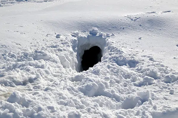 Realistic looking snow cave